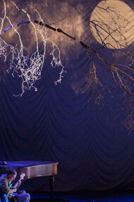 "La dernière saison", Cirque Plume © Yves Petit et Benoit Dochy 