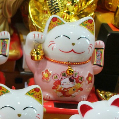 Questo piccolo gatto giapponese è un simbolo di buon auspicio, capace di attirare ricchezza e protezione