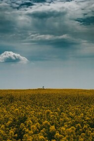 Conclave de universos confederados