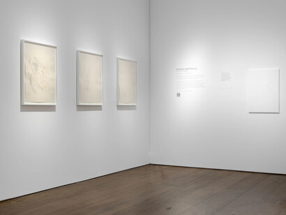 Bianca Raffaella, She cannot fade, exhibition view. Courtesy of Flowers Gallery