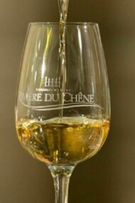 A glass of Rivière du Chêne´s wine 