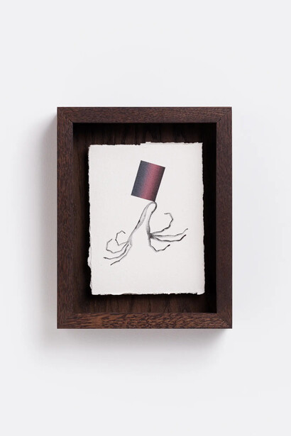 Sabīne Vernere, Aspasia, 2026. Courtesy of Kogo Gallery