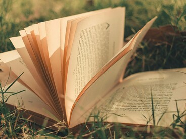 Ao longo dessas páginas, entrelaço a minha trajetória às vozes de professores, estudantes, músicos, criadores digitais e sonhadores — cada um guardião de uma chama particular. São eles que mantêm viva a centelha de uma língua que insiste em não morrer