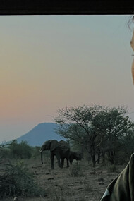 Elefanti in natura. La vista del tramonto dal Baobab, una scena che non dimenticherò mai. Poco prima che un branco di elefanti camminò sotto di noi per raggiungere la pozza d’acqua poco più avanti. Africa

