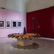 Helen Chadwick, Life pleasures, veduta della mostra. Cortesia del Museo Novecento