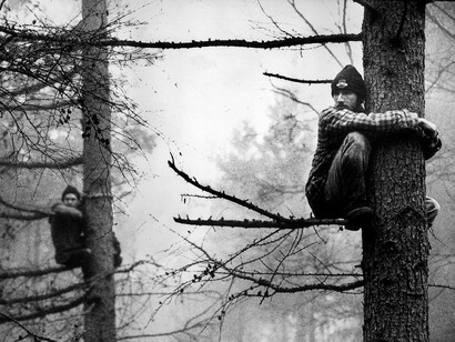Andrew Testa, Allercombe tree village, on the route of the proposed A30 Honiton Bypass, Devon, December 1996. Courtesy of the National Galleries of Scotland