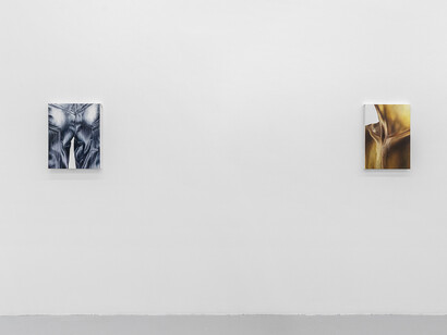 Margaux Valengin, A world of part-object phantasies, exhibition view. Courtesy of Galerie Pact