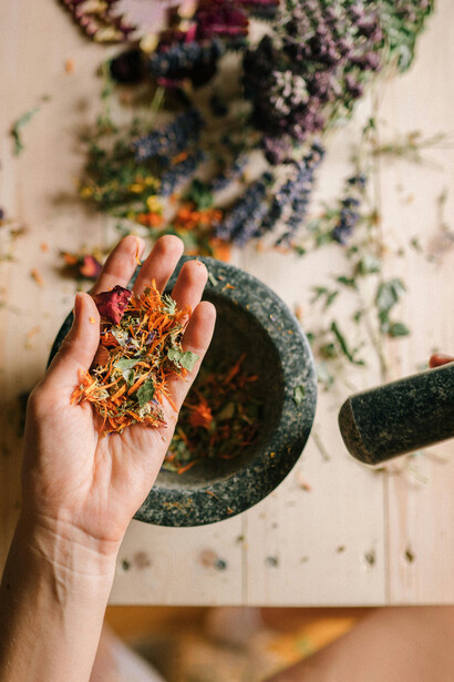 Las plantas medicinales no solo alivian síntomas: enseñan a escuchar el cuerpo y a reconocer los ciclos naturales que lo habitan