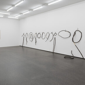Various artists, Collection 25. Swiss art from the 18th century to the present day, exhibition view. Courtesy of 
Aargauer Kunsthaus