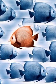 Leaders do not follow