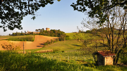 Colline romagnole, Torre di Oriolo dei Fichi, Faenza, Italia
