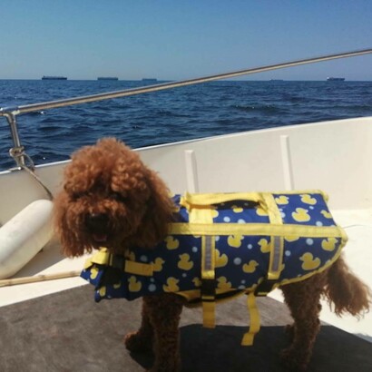 Taitù in barca