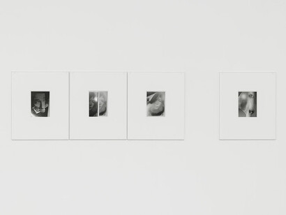 Kazuna Taguchi, I’ll never ask you, exhibition view. Courtesy of Mumok