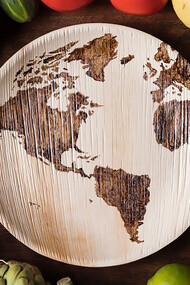 Arrangement of fresh vegetables artfully displayed on a plate featuring a scratched globe design