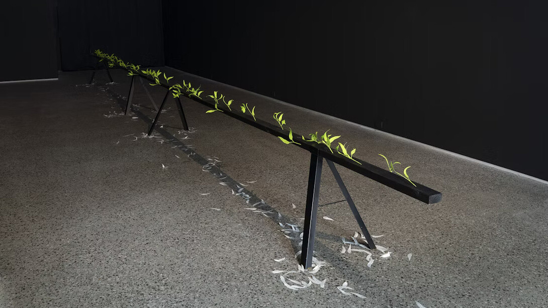 Jenna Lee, Burn before reading, exhibition view. Courtesy of the artist and Gertrude Glasshouse. Photo by Christian Capurro