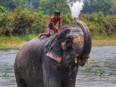 An elephant entertaining a boy in the lake at Chitwan National Park, Nepal