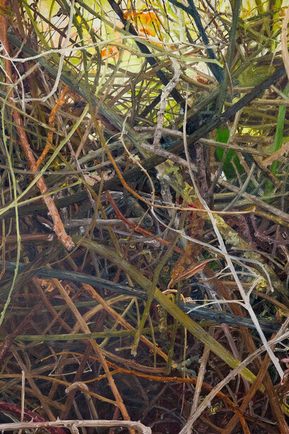 Kate Bright, Lopeway (detail), 2016. Courtesy of Locks Gallery