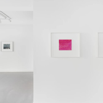 Birk Bjørlo, Waste land, exhibition view. Courtesy of Brigade Gallery 