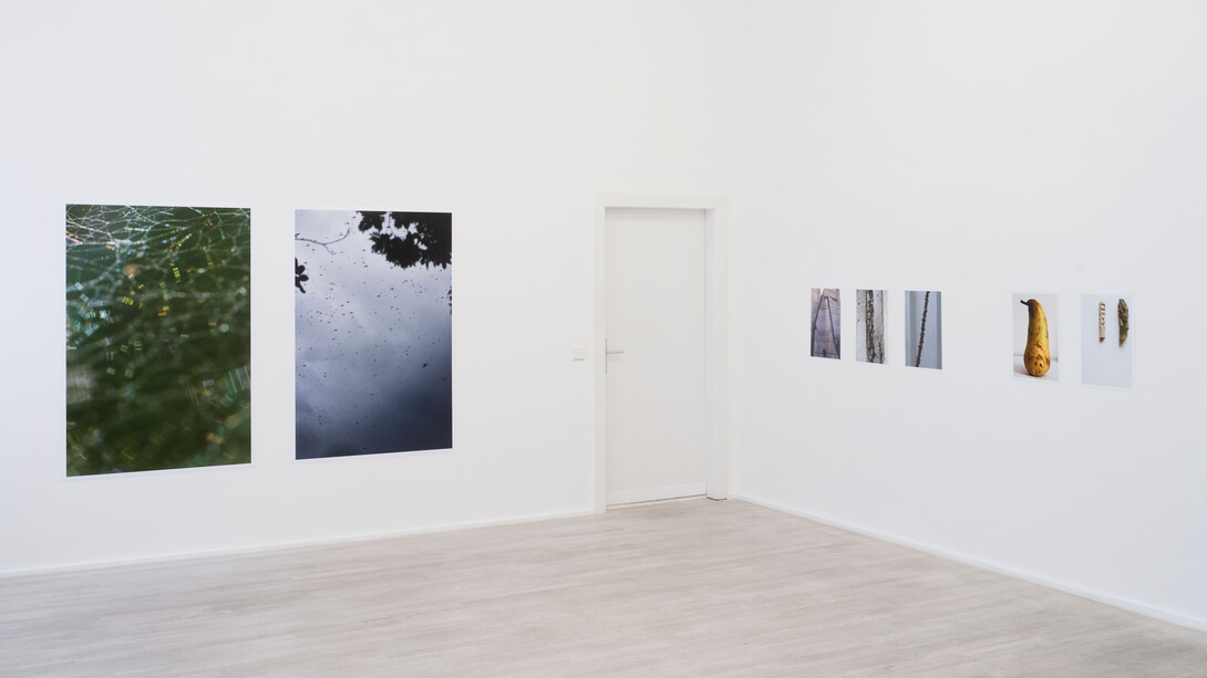 Peter Piller, Bürgerliche dämmerung (Civil twilight), exhibition view. Courtesy of Galerie Barbara Wien