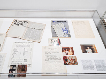 Love rules: the Harm reduction archives of Heather Edney and Richard Berkowitz, vista de exhibición. Cortesía del MoMA PS1
