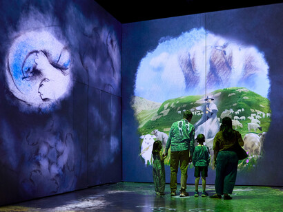 The man who planted trees: an immersive tale, exhibition view. Courtesy of Canadian Museum of Nature