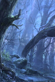 Transhumant of the dark