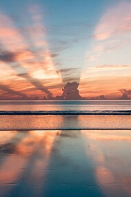 L’aura è un campo energetico che circonda ogni essere vivente e riflette il suo stato fisico, emotivo, mentale e spirituale