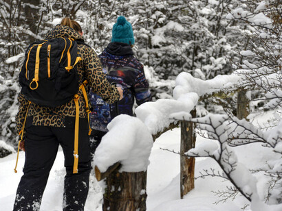 Los recorridos por los lagos y el faro del fin del mundo permiten descubrir una geografía extrema habitada por pingüinos, castores y aves australes. Ushuaia, Argentina