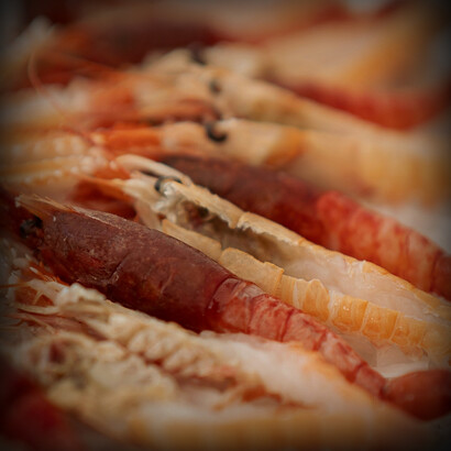 A differenza di altre tradizioni culinarie, il crudo di mare barese viene gustato senza condimenti elaborati, per esaltare il sapore autentico del mare  