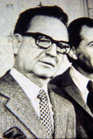 Patricio Aylwin and Salvador Allende