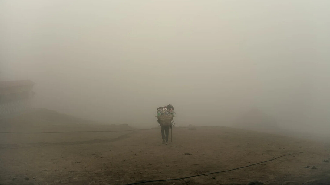 Sasha Bezzubov, Fog, 2024. Courtesy of Front Room Gallery