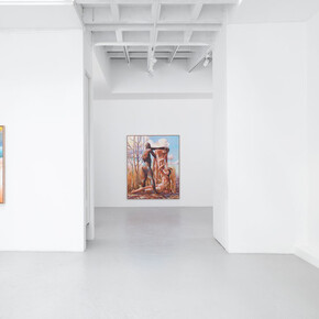 Laurent Proux, The nature poem, vue d'exposition. Avec l'aimable autorisation de la galerie Semiose