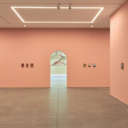 Nicolas Party, Dead fish, exhibition view. Courtesy of Karma Gallery