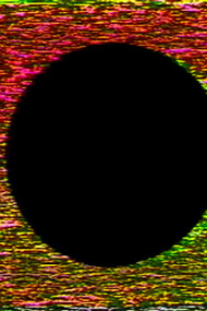 Noisefields (1974), by Steina and Woody Vasulka