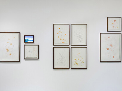 Various artists, Between what is seen and what is guessed, exhibition view. Courtesy of Otto Gallery