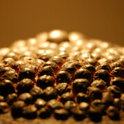 Courtesy of TOYO Art Design