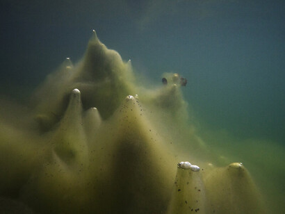 Hans-Christian Schink, #38, aus der Serie "Unter Wasser", 2020. Courtesy of Museum der bildenden Künste Leipzig