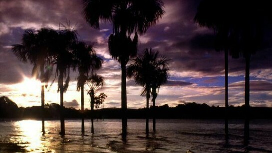 Paolo Gotti, Visions, Venezuela 1999 Canaima. Stampa digitale