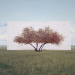 Tree... Courtesy of Yossi Milo Gallery