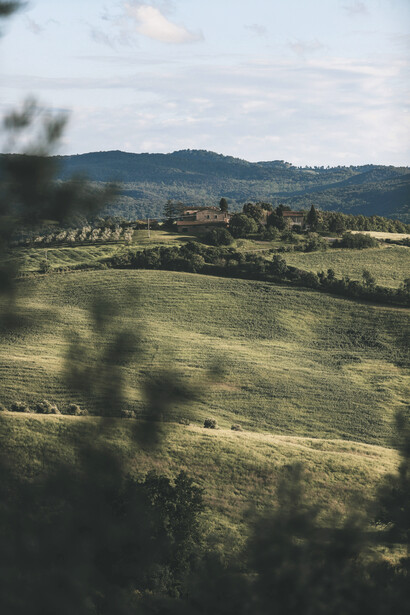 A couple sitting quietly on a bench overlooking the green countryside of the moor