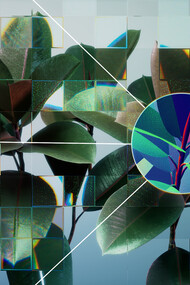 Una planta reflejada en una cuadrícula de vidrio fragmentada. Esta cuadrícula es una metáfora visual de cómo la inteligencia artificial (IA) y las tecnologías de aprendizaje automático pueden utilizarse para extraer y analizar datos biológicos de forma innovadora, así como de la estructura repetitiva y autosimilar de estos sistemas