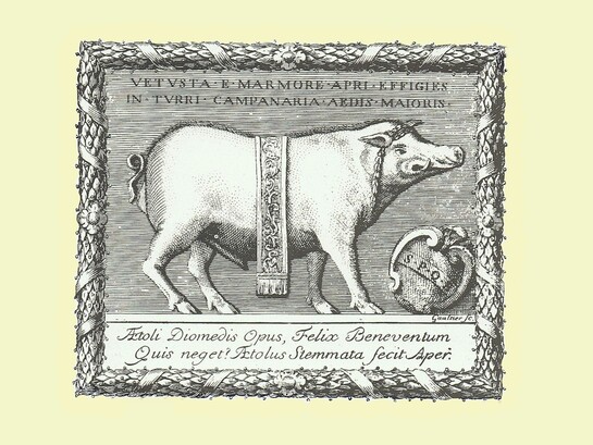 "Thesaurus Antiquitatum Beneventanarum" di G. De Vita, Roma, Pagliarini, 1754, I, frontespizio, incisione di P.J. Gaultier su disegno di G.B. Natali raffigurante il cinghiale stolato, simbolo della città di Benevento.