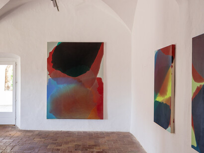 Rubén Rodrigo, La minipesca de la trucha en el Empordà, exhibition view. Courtesy of Alzueta Gallery 
