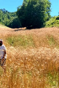 Il pane fatto con grani antichi italiani valorizza varietà locali che richiedono meno fertilizzanti chimici, proteggendo la biodiversità e riducendo l’impronta ambientale