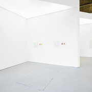 Elsa Salonen, Moonlit botanical colour theories, exhibition view. Courtesy of Galerie Jochen Hempel