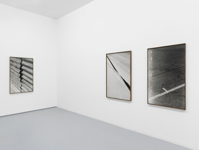 Tito Mouraz, Selva oscura, exhibition view. Courtesy of 3+1 Arte Contemporânea