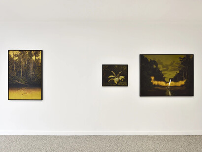 Bruno Gadenne, Eldorado, vue de l'exposition. Avec l'aimable autorisation de la galerie Prima