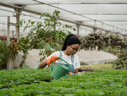 Woman holding a green watering can, illustrating agricultural work, agronomy, and the agricultural industry