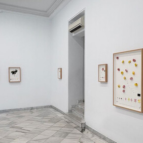 Alberto Baraya, Viaje a Galicia, vista de exhibición. Cortesía de la Galería Fernando Pradilla