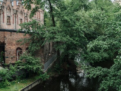 Passeggiando lungo il fiordo, si respira un’aria fresca che mescola profumo di mare e bosco. Oslo, Norvegia
